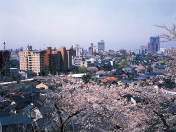 卯辰山より（金沢市）