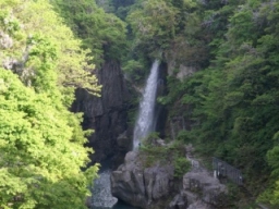 綿ヶ滝（白山市・手取峡谷）