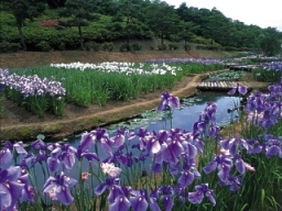 柳田植物公園（能登町）