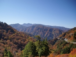 白山スーパー林道（白山市）