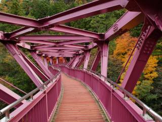 白山白川郷ホワイトロード（石川県白山市）