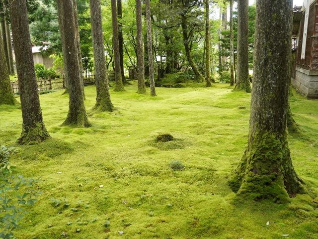 苔の里（石川県小松市）