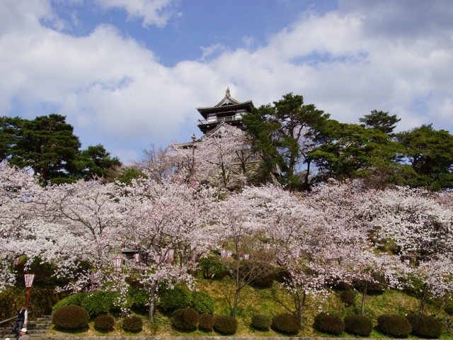 丸岡城（福井県坂井市）