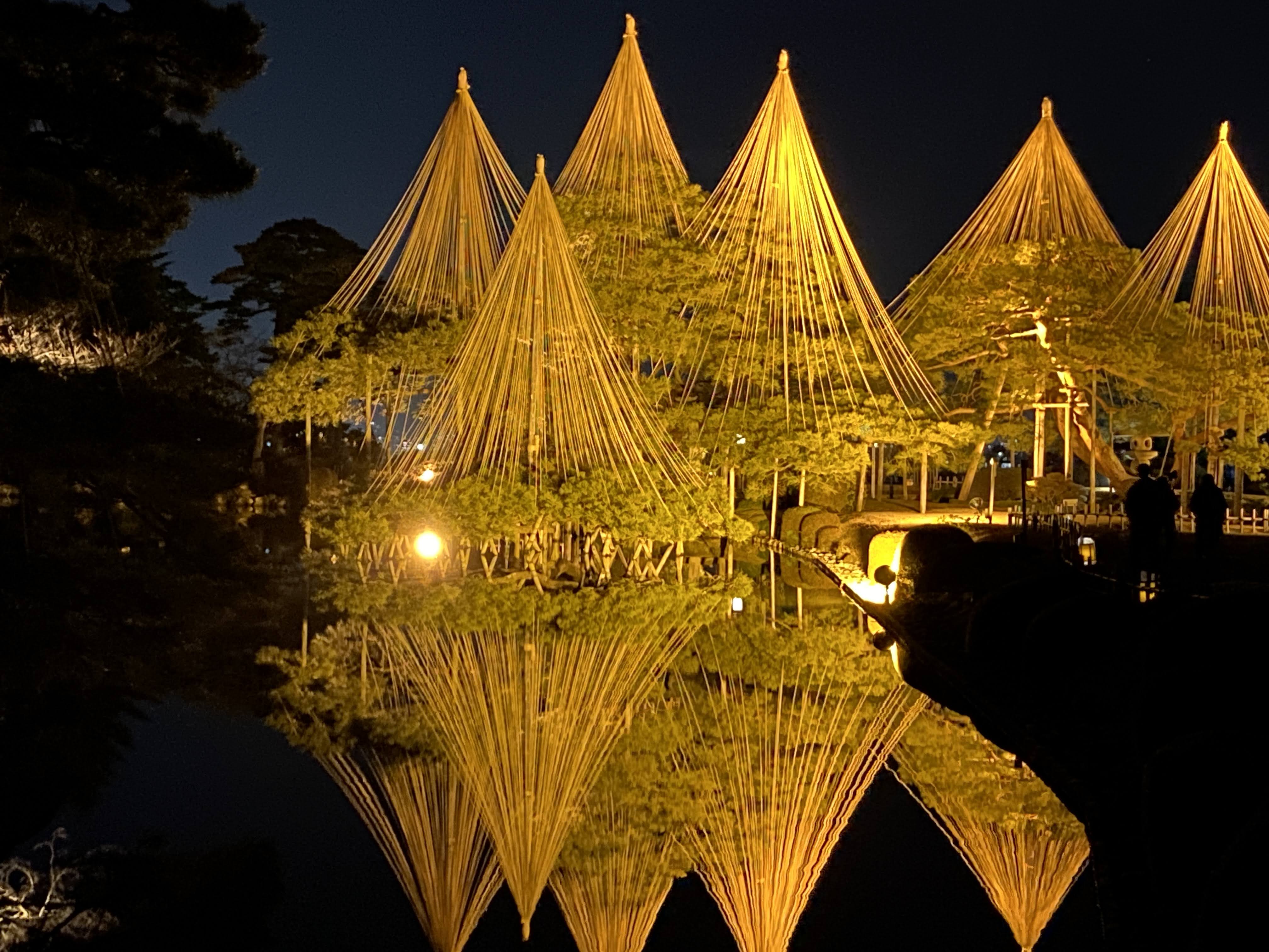 兼六園のライトアップ（石川県金沢市）