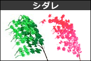 シダレ