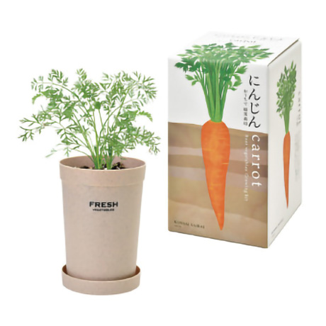 おうちで根菜栽培セット　(GD-89102)にんじん(1)